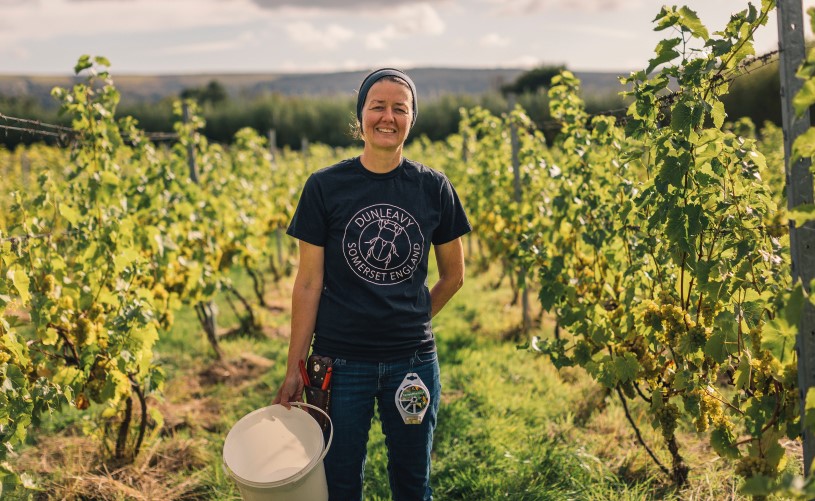 Woman in vineyard